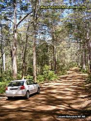 Road - Leeuwin Naturaliste NP