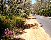 Caves Road bei Margaret River südlich von Perth