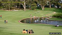 Relaxing at Kings Park, Perth