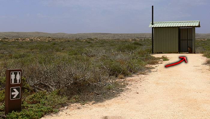 Toilettenhäuschen in der Wüste
