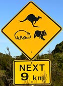 Wombat-, Känguru- und Koala- Warnschild