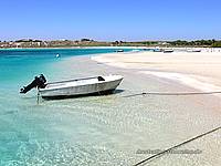 Coral Bay, Ningaloo reef