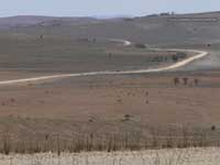 dusty drive on unsealed road at Flinders Ranges