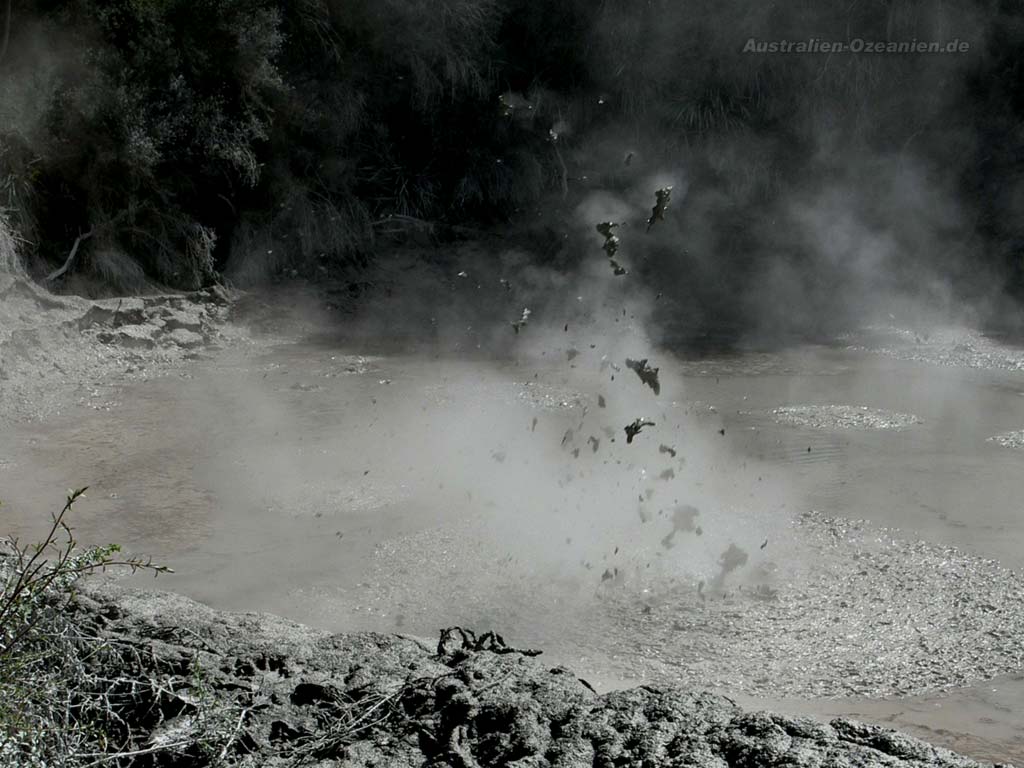 smelly steaming mud