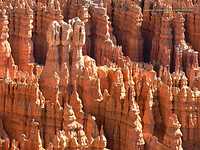 hoodoos at Bryce Canyon