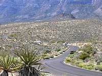 Mojave Desert at Red Rock Canyon