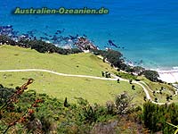 Walking Track at Mt Mauao