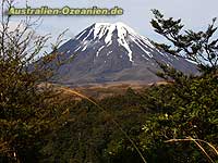 snowy Mount Ngauruhoe at Tongariri National Park